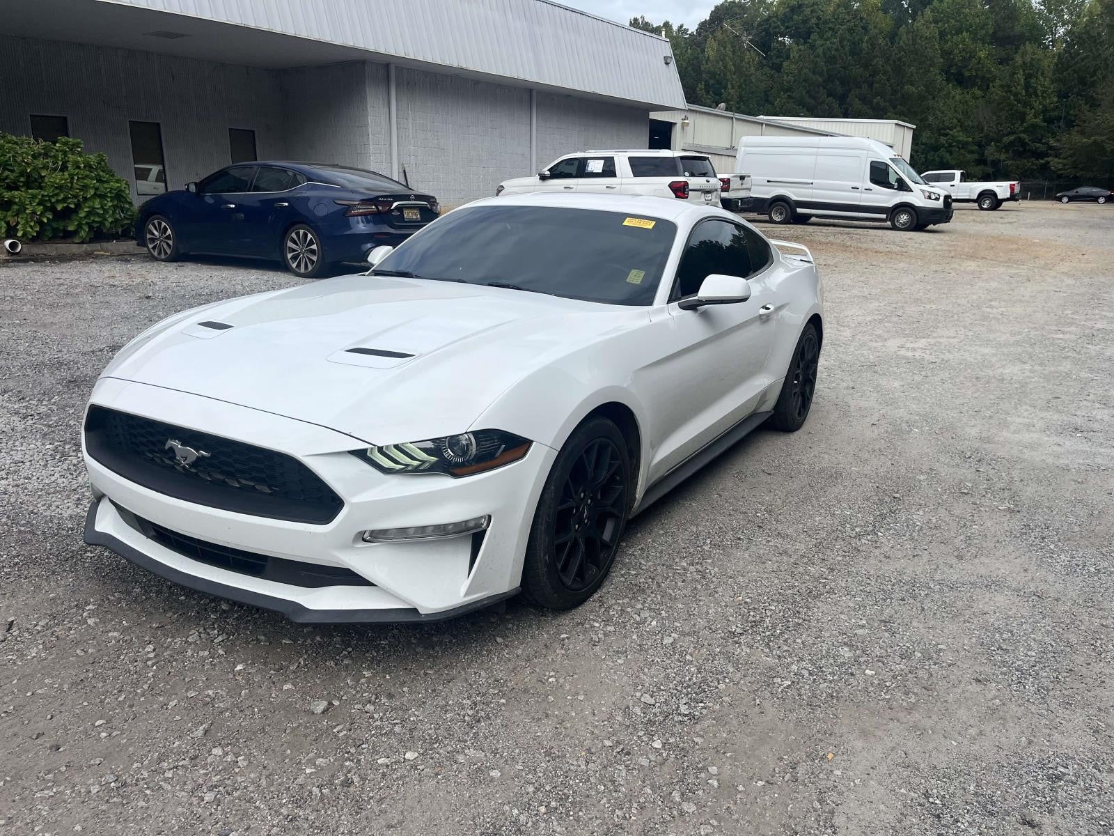 2019 Ford Mustang EcoBoost
