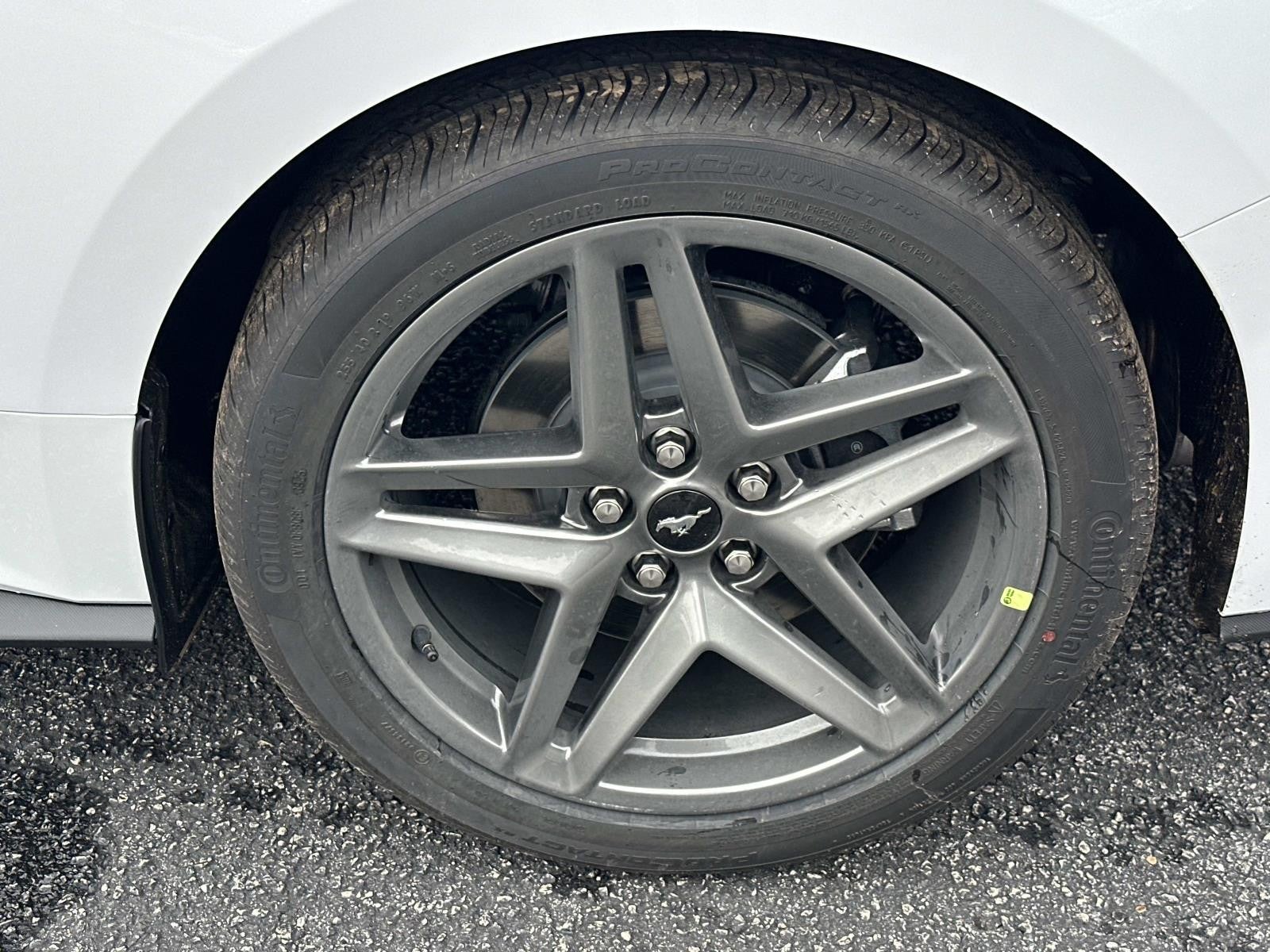 2026 Ford Mustang ECOBOOST FASTBACK