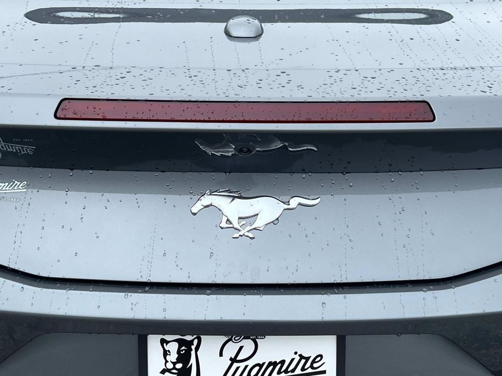 2025 Ford Mustang EcoBoost