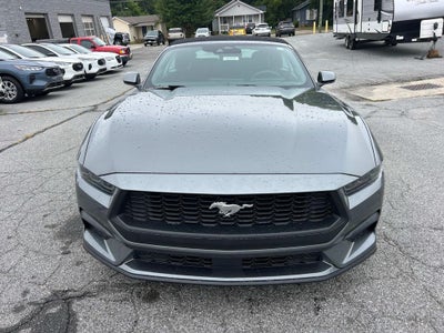 2025 Ford Mustang EcoBoost