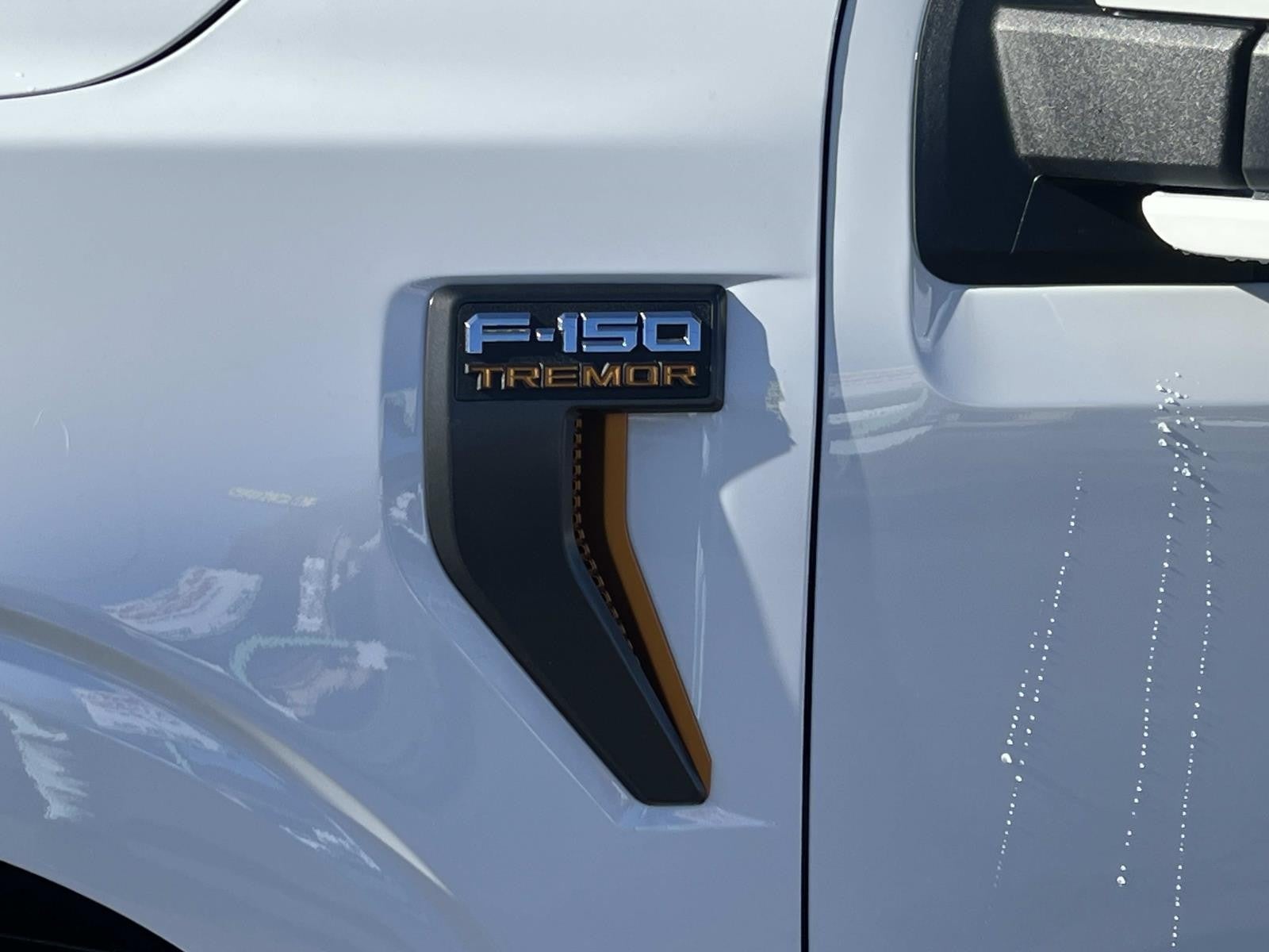 2025 Ford F-150 TREMOR 4WD SUPERCREW 5.5'