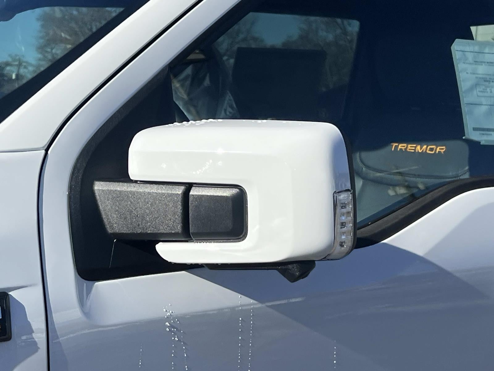 2025 Ford F-150 TREMOR 4WD SUPERCREW 5.5'