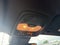 2023 Chevrolet Colorado 4WD Trail Boss