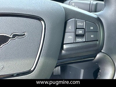 2025 Ford Mustang Mach-E PREMIUM RWD