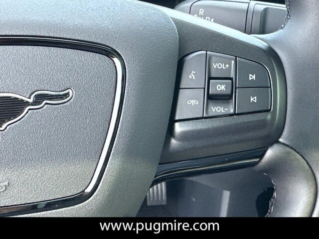 2025 Ford Mustang Mach-E PREMIUM RWD