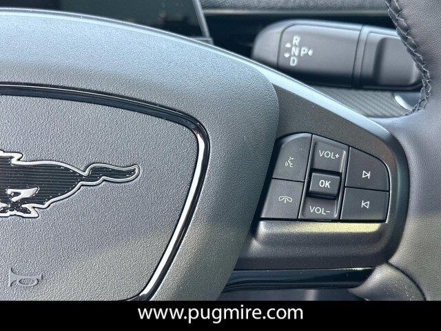 2025 Ford Mustang Mach-E PREMIUM RWD