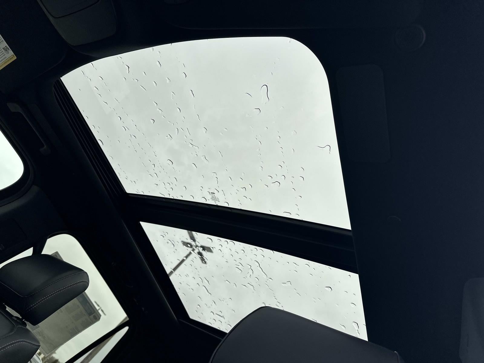 2025 Ford Expedition PLATINUM 4X4