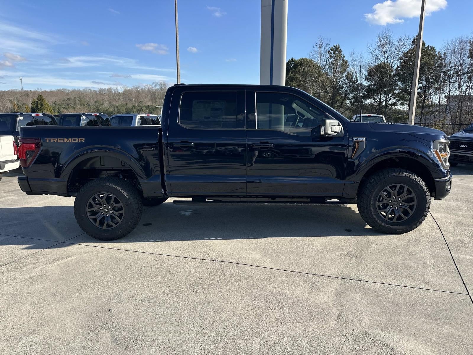 2025 Ford F-150 TREMOR 4WD SUPERCREW 5.5'