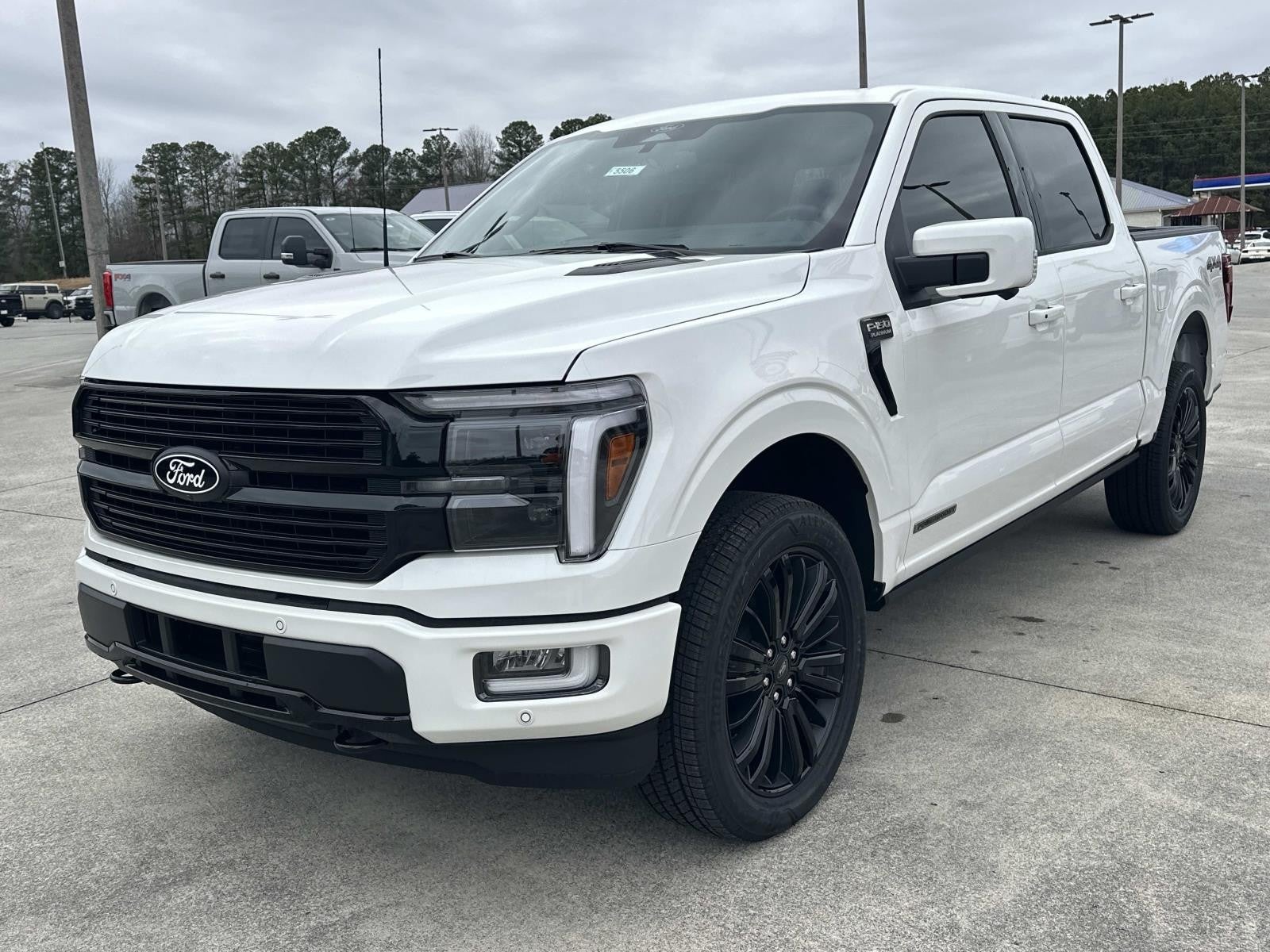 2025 Ford F-150 PLATINUM 4WD SUPERCREW 5.
